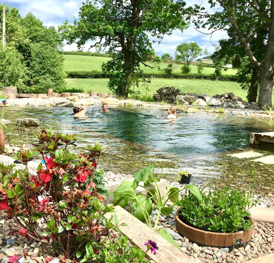 Mid-Wales Farmhouse, Swimming Pool, Tranquil Countryside Views, Sleeps 14 Meifod Exterior photo