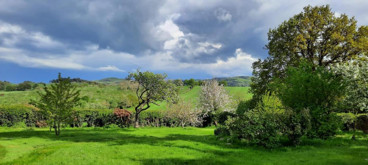 Mid-Wales Farmhouse, Swimming Pool, Tranquil Countryside Views, Sleeps 14 Meifod Exterior photo
